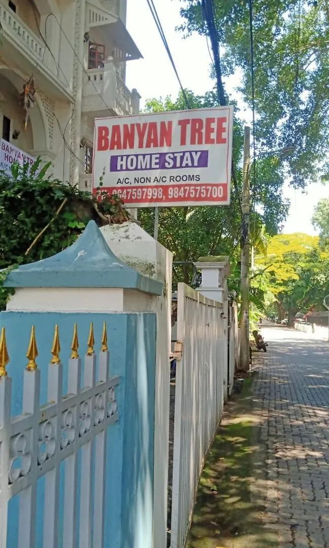 Banyan Tree Homestay Kochi India