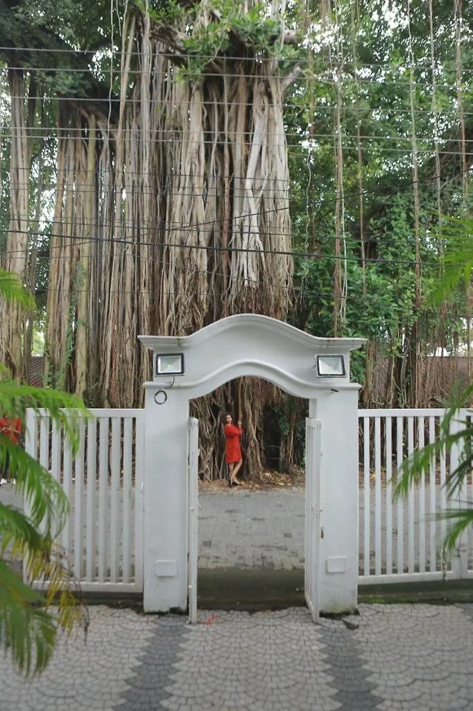 Banyan Tree Homestay Kochi